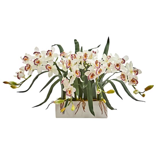 15" White Boat Orchid Arrangement in White Vase